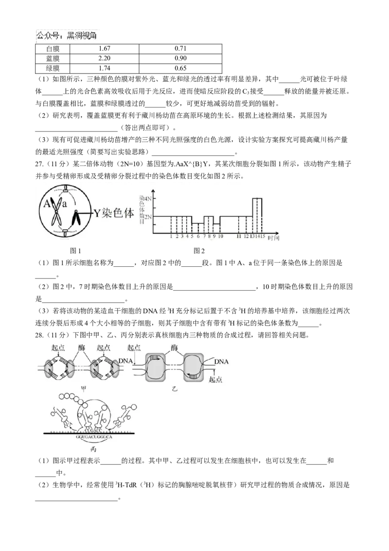 黑龙江省齐齐哈尔市2024-2025学年高三上学期10月月考生物试题_2024-2025高三（6-6月题库）_2024年10月试卷_1014黑龙江省哈尔滨市第三中学校2024-2025学年高三上学期10月月考