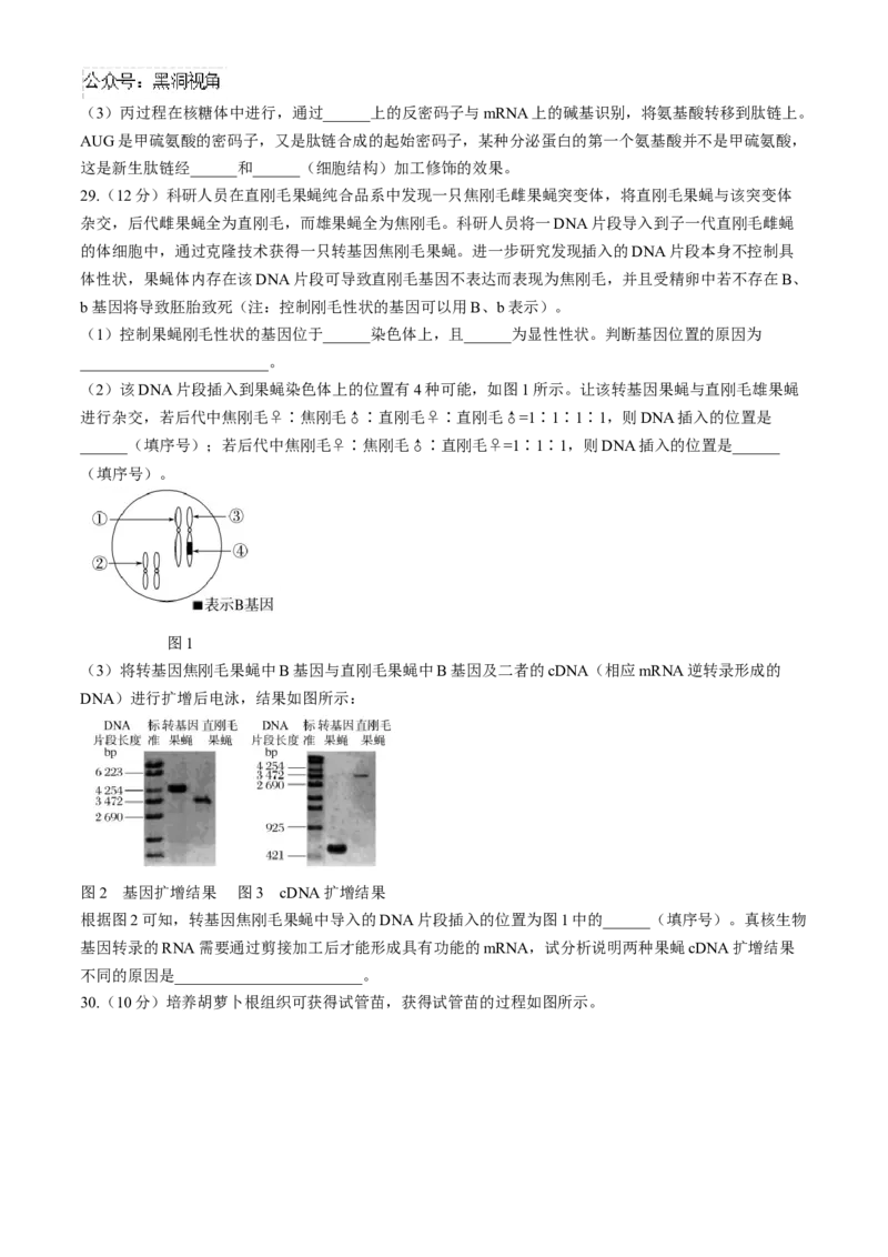 黑龙江省齐齐哈尔市2024-2025学年高三上学期10月月考生物试题_2024-2025高三（6-6月题库）_2024年10月试卷_1014黑龙江省哈尔滨市第三中学校2024-2025学年高三上学期10月月考