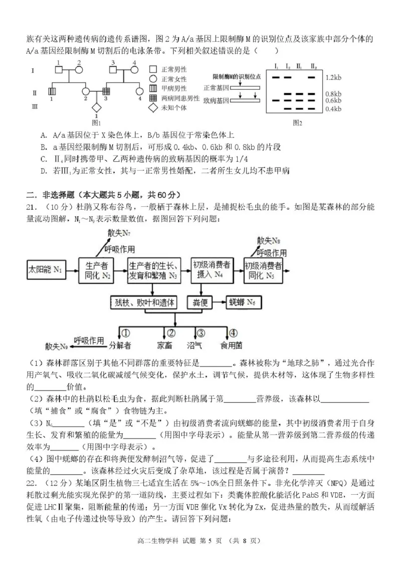 高二生物试题_2024-2025高二（7-7月题库）_2025年05月试卷_0506浙江省杭州市S9联盟2024-2025学年高二下学期期中联考试题_浙江省S9联盟2024-2025学年高二下学期4月期中生物试题（扫描版有答案）