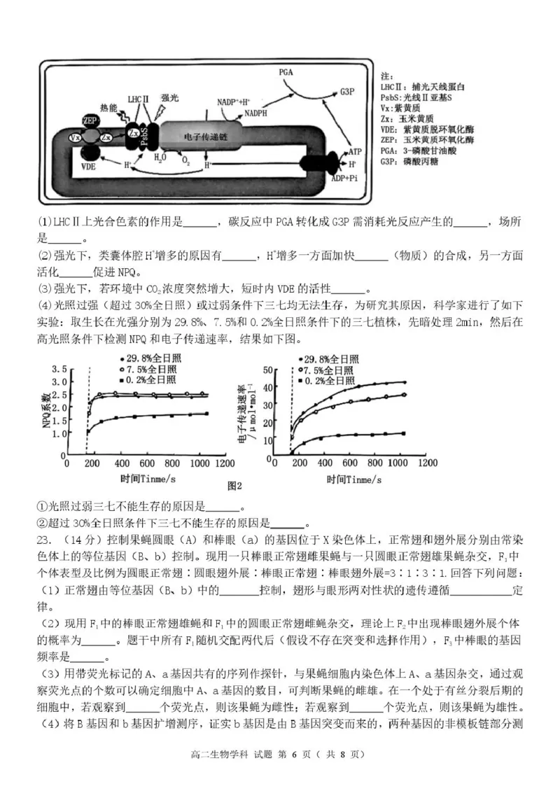 高二生物试题_2024-2025高二（7-7月题库）_2025年05月试卷_0506浙江省杭州市S9联盟2024-2025学年高二下学期期中联考试题_浙江省S9联盟2024-2025学年高二下学期4月期中生物试题（扫描版有答案）