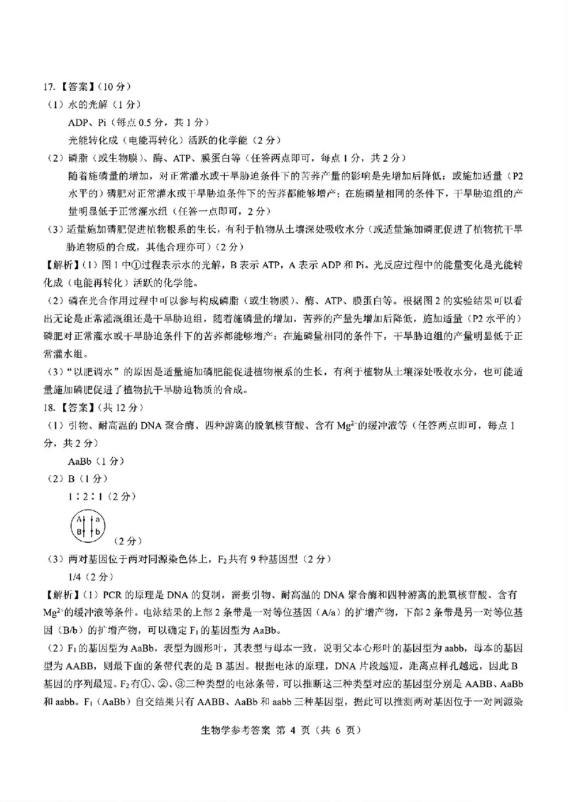 生物答案_2024-2025高三（6-6月题库）_2024年12月试卷_12192025山西省三重教育高三12月八省联考适应性考试_生物