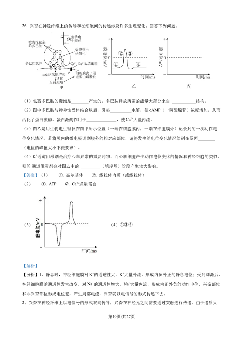 精品解析：黑龙江省牡丹江市第一高级中学（致远班）2025-2026学年高二上学期9月月考生物试题（解析版）_2025年10月高二试卷