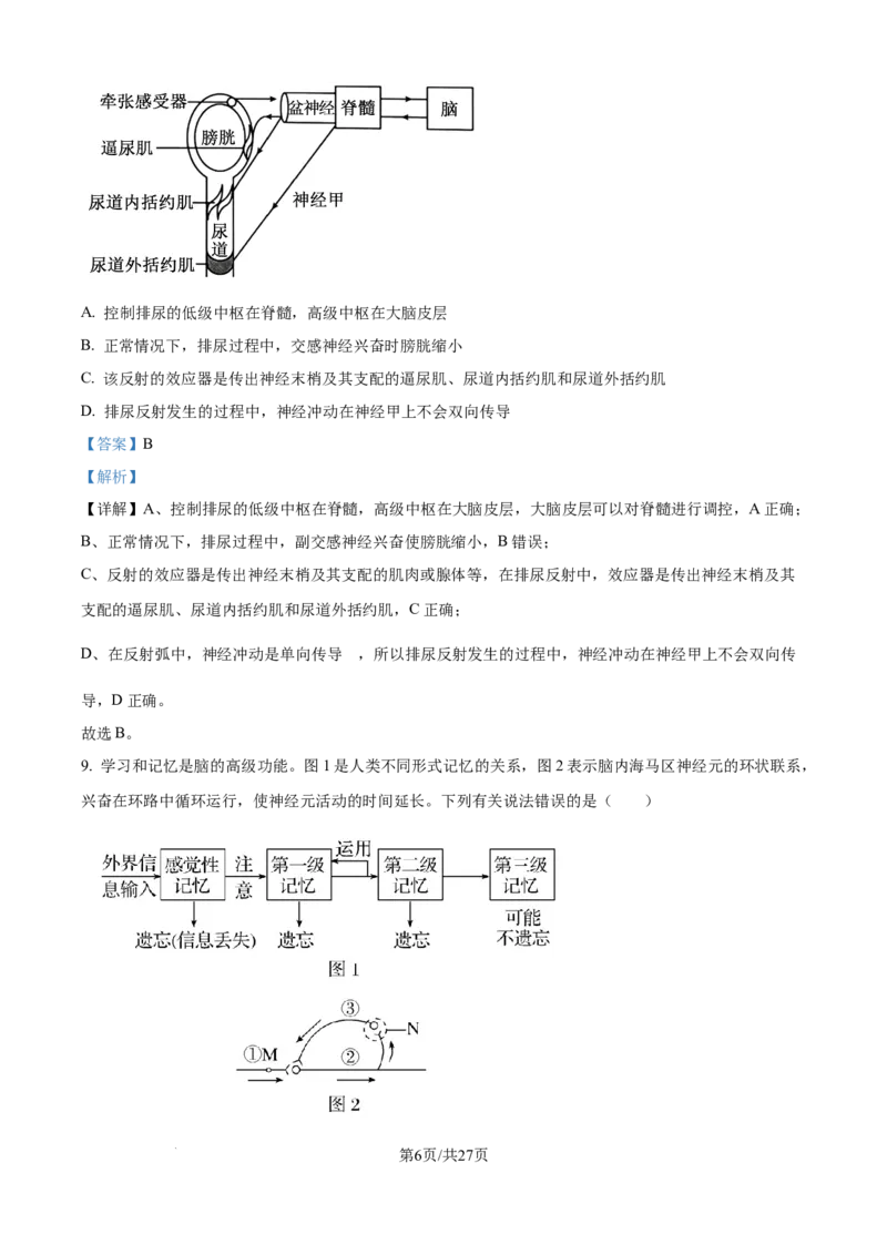 精品解析：黑龙江省牡丹江市第一高级中学（致远班）2025-2026学年高二上学期9月月考生物试题（解析版）_2025年10月高二试卷
