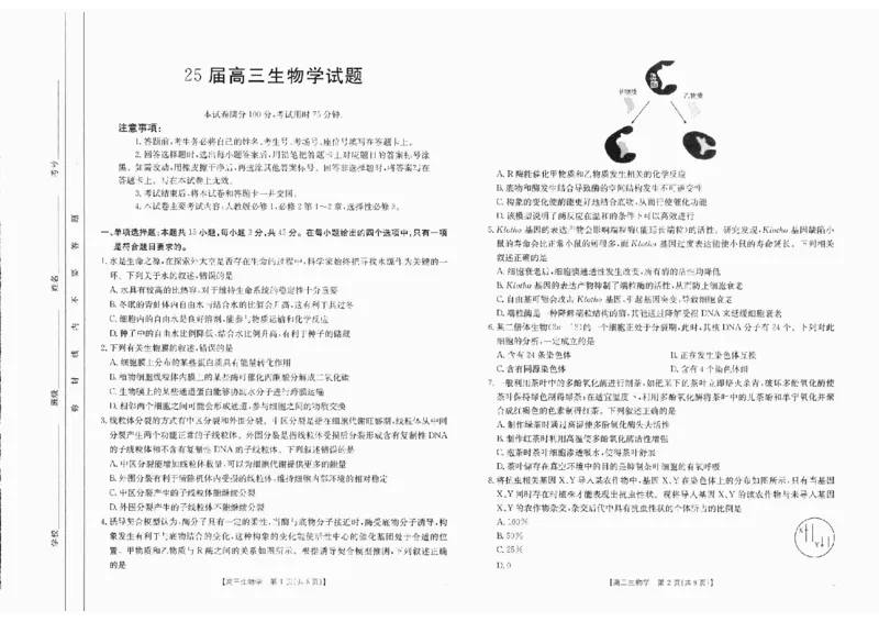 生物(1)_2024-2025高三（6-6月题库）_2024年10月试卷_10132025届四川省高三金太阳10月联考（25-73C）
