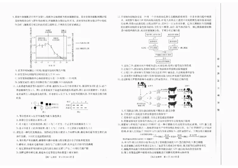 生物(1)_2024-2025高三（6-6月题库）_2024年10月试卷_10132025届四川省高三金太阳10月联考（25-73C）