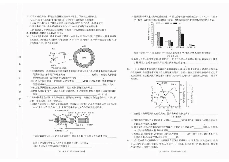 生物(1)_2024-2025高三（6-6月题库）_2024年10月试卷_10132025届四川省高三金太阳10月联考（25-73C）