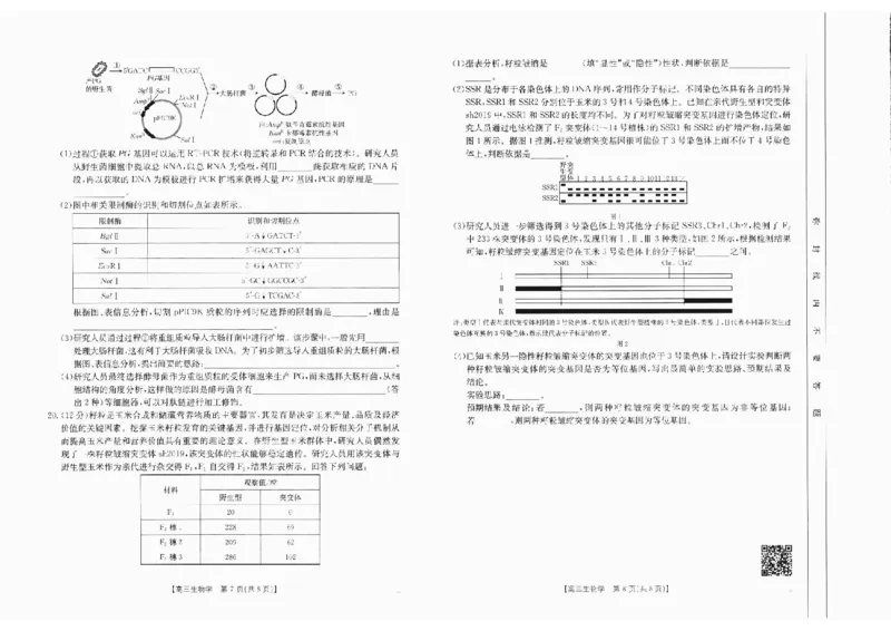生物(1)_2024-2025高三（6-6月题库）_2024年10月试卷_10132025届四川省高三金太阳10月联考（25-73C）
