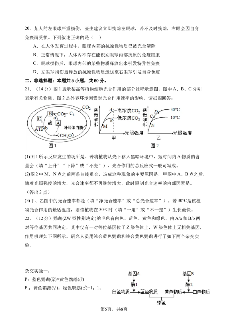 高二生物期中考试卷+答案_2024-2025高二（7-7月题库）_2024年11月试卷_1123云南省玉溪市一中2024-2025学年高二上学期期中考试
