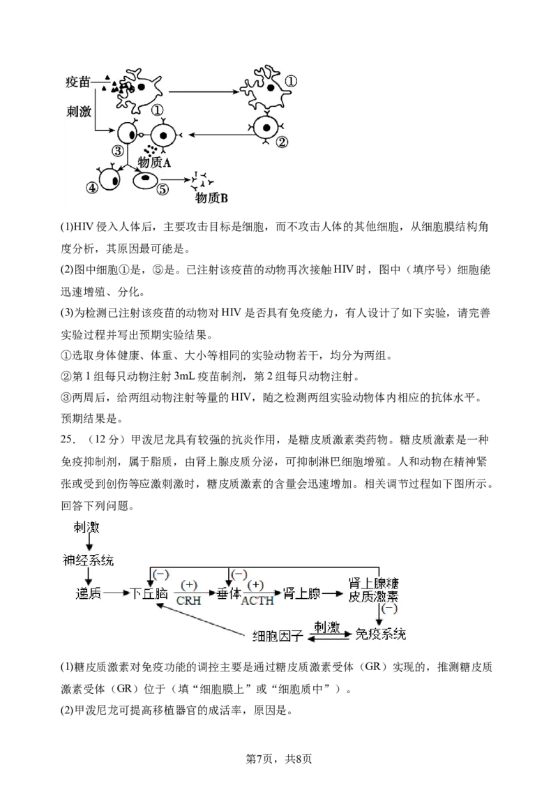 高二生物期中考试卷+答案_2024-2025高二（7-7月题库）_2024年11月试卷_1123云南省玉溪市一中2024-2025学年高二上学期期中考试