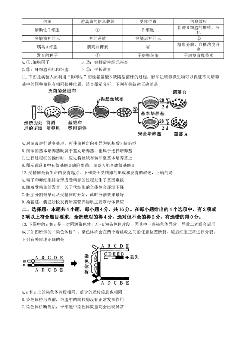 江西省红色十校2024&mdash;2025学年高三上学期第一次联考生物试题（有解析）_2024-2026高三（6-6月题库）_2024年09月试卷_0923江西省红色十校2025届高三上学期第一次联考