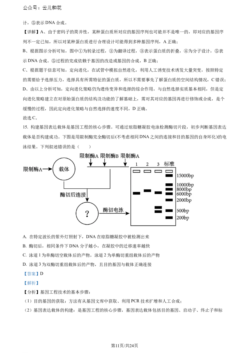 精品解析：辽宁省大连市2023-2024学年高二下学期期末考试生物学试题（解析版）_2024-2025高二（7-7月题库）_2024年07月试卷_0724辽宁省大连市2023_2024学年高二下学期期末考试