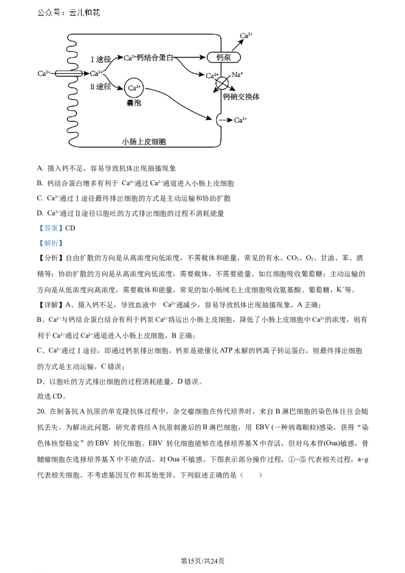 精品解析：辽宁省大连市2023-2024学年高二下学期期末考试生物学试题（解析版）_2024-2025高二（7-7月题库）_2024年07月试卷_0724辽宁省大连市2023_2024学年高二下学期期末考试