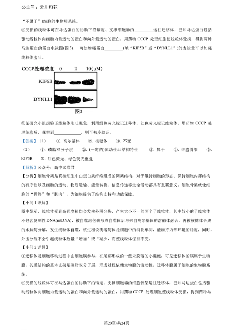 精品解析：辽宁省大连市2023-2024学年高二下学期期末考试生物学试题（解析版）_2024-2025高二（7-7月题库）_2024年07月试卷_0724辽宁省大连市2023_2024学年高二下学期期末考试