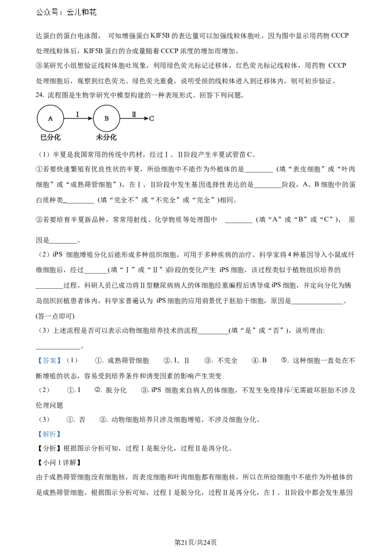 精品解析：辽宁省大连市2023-2024学年高二下学期期末考试生物学试题（解析版）_2024-2025高二（7-7月题库）_2024年07月试卷_0724辽宁省大连市2023_2024学年高二下学期期末考试