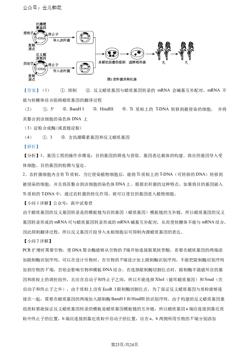 精品解析：辽宁省大连市2023-2024学年高二下学期期末考试生物学试题（解析版）_2024-2025高二（7-7月题库）_2024年07月试卷_0724辽宁省大连市2023_2024学年高二下学期期末考试