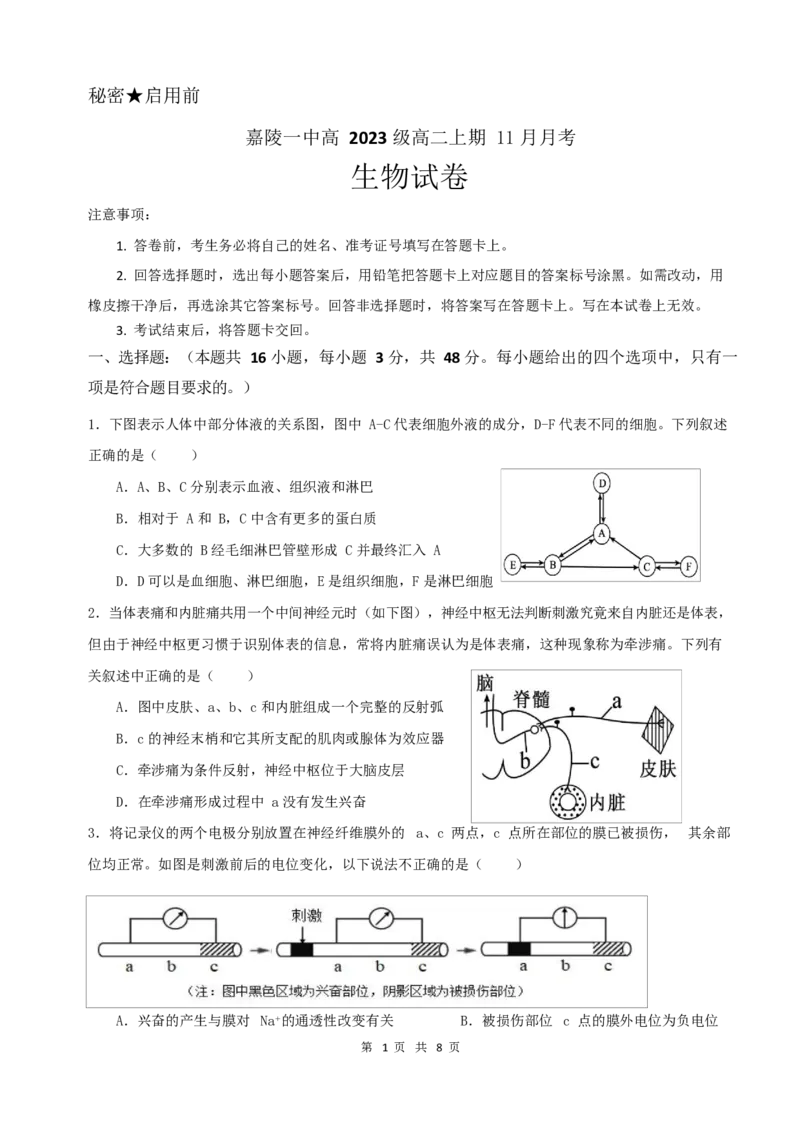 生物试卷_2024年11月试卷_1123四川省南充市嘉陵一中2024-2025学年高二上学期第二次月考（11月）_四川省南充市嘉陵一中2024-2025学年高二上学期第二次月考（11月）生物试题Word版含答案