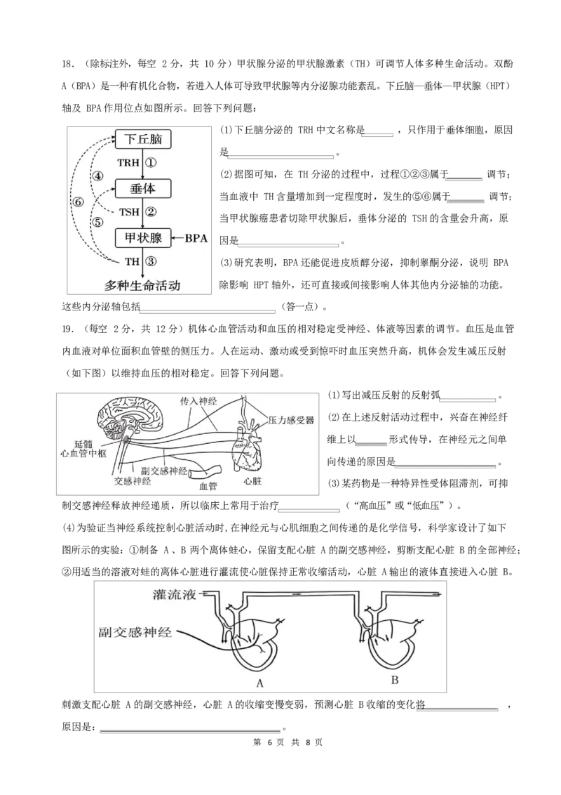 生物试卷_2024年11月试卷_1123四川省南充市嘉陵一中2024-2025学年高二上学期第二次月考（11月）_四川省南充市嘉陵一中2024-2025学年高二上学期第二次月考（11月）生物试题Word版含答案