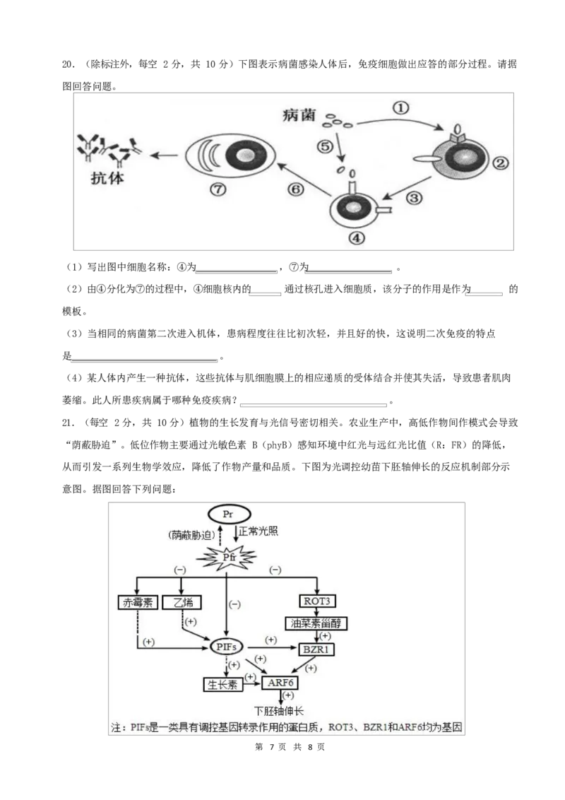 生物试卷_2024年11月试卷_1123四川省南充市嘉陵一中2024-2025学年高二上学期第二次月考（11月）_四川省南充市嘉陵一中2024-2025学年高二上学期第二次月考（11月）生物试题Word版含答案