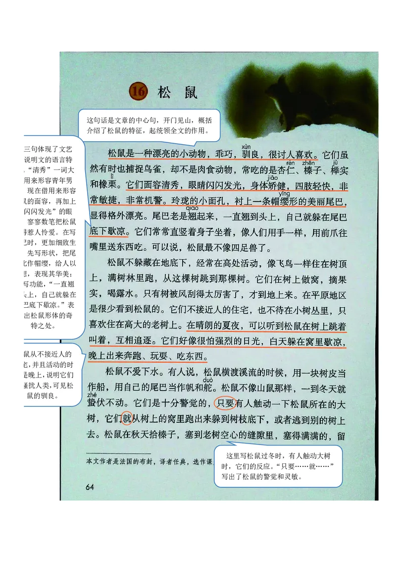 五年级上册语文部编版课堂笔记_小学1-6年级全部试卷_语文_五年级_3-10-1、小学五年级语文上册_3-10-1-1、复习、知识点、归纳汇总_部编（人教）版