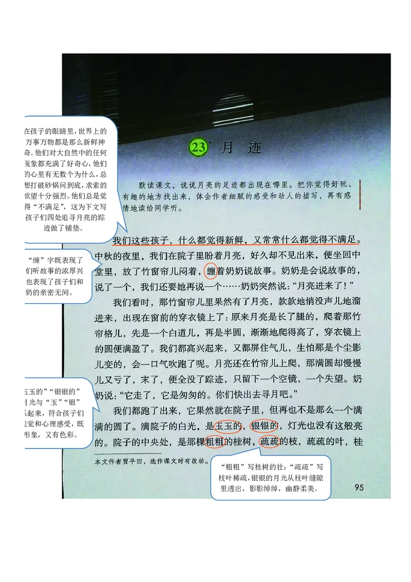 五年级上册语文部编版课堂笔记_小学1-6年级全部试卷_语文_五年级_3-10-1、小学五年级语文上册_3-10-1-1、复习、知识点、归纳汇总_部编（人教）版