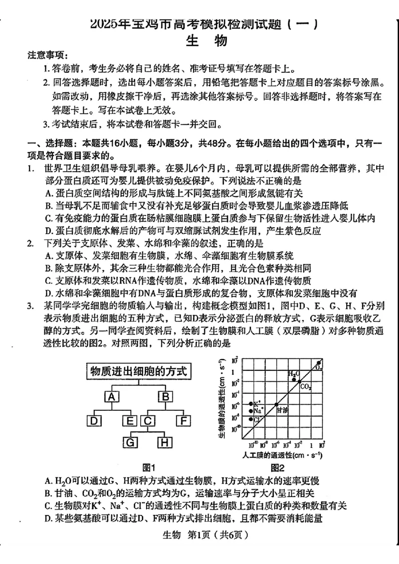 生物_2024-2025高三（6-6月题库）_2024年12月试卷_12252025届陕西省宝鸡市高三上学期一模_2025届陕西省宝鸡市高三上学期模拟检测（一）生物