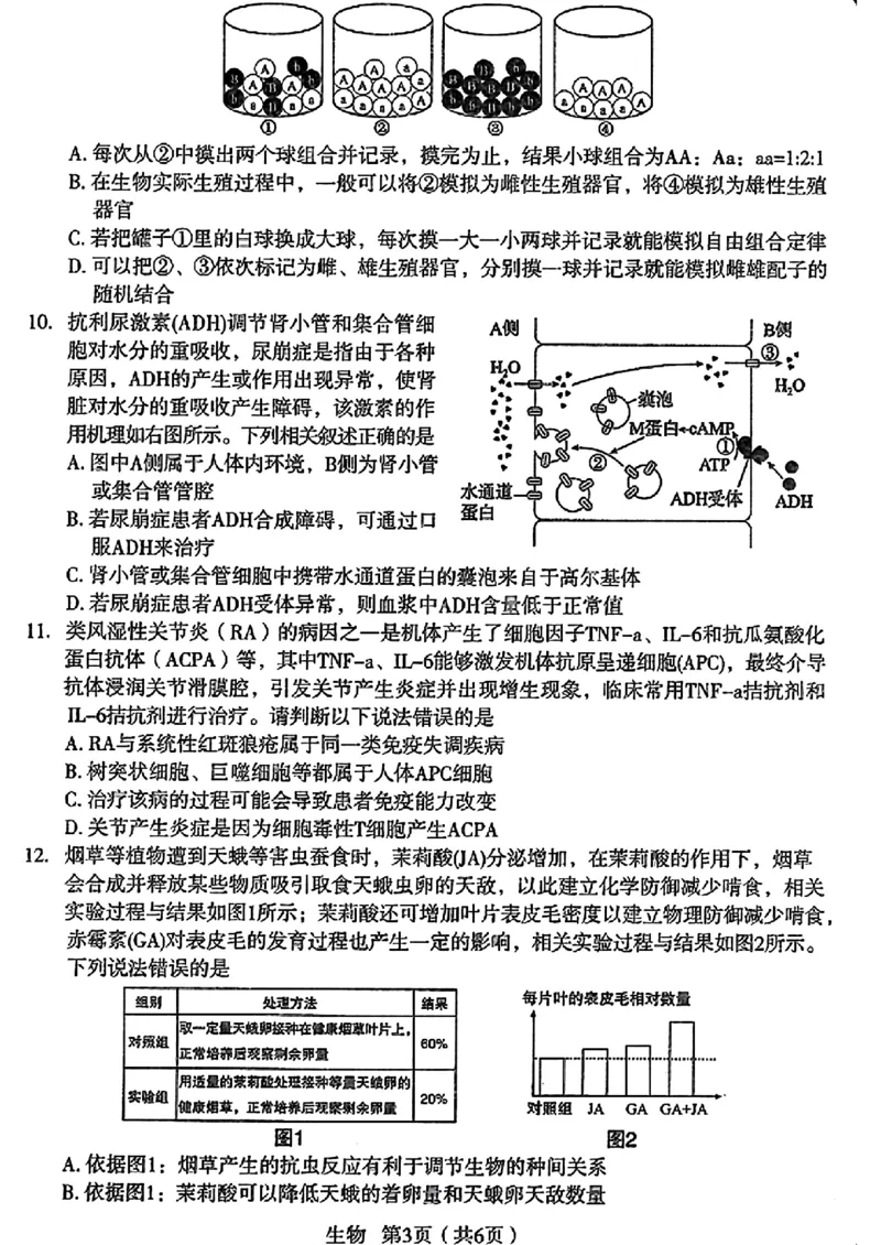 生物_2024-2025高三（6-6月题库）_2024年12月试卷_12252025届陕西省宝鸡市高三上学期一模_2025届陕西省宝鸡市高三上学期模拟检测（一）生物