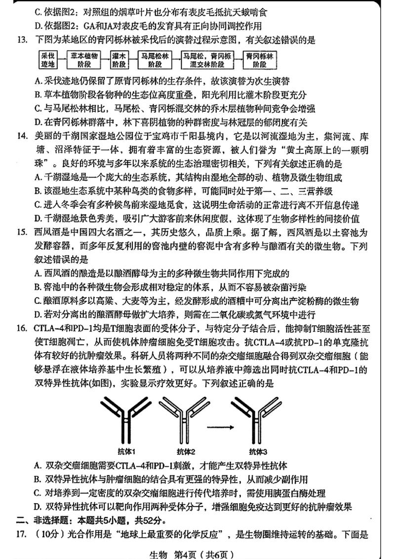 生物_2024-2025高三（6-6月题库）_2024年12月试卷_12252025届陕西省宝鸡市高三上学期一模_2025届陕西省宝鸡市高三上学期模拟检测（一）生物