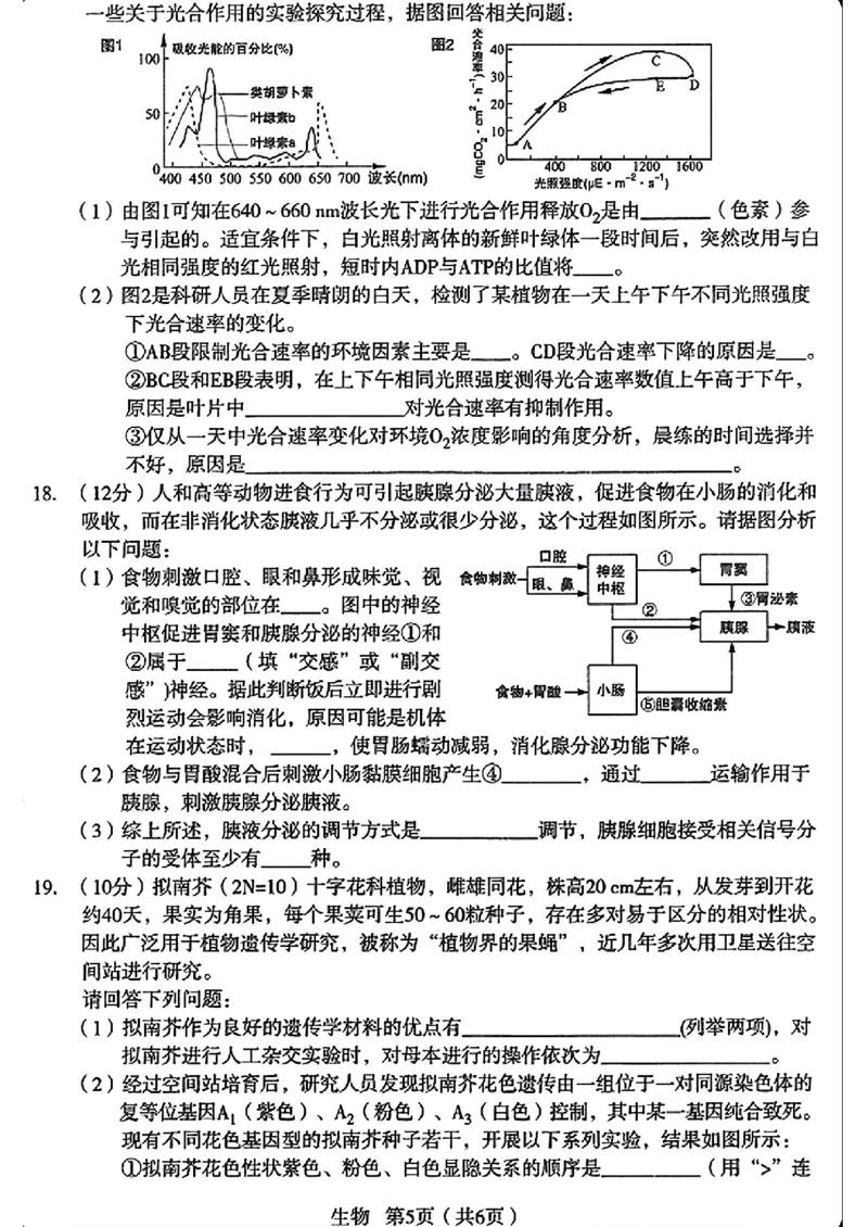 生物_2024-2025高三（6-6月题库）_2024年12月试卷_12252025届陕西省宝鸡市高三上学期一模_2025届陕西省宝鸡市高三上学期模拟检测（一）生物