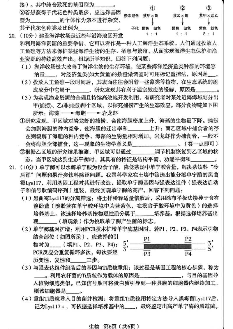 生物_2024-2025高三（6-6月题库）_2024年12月试卷_12252025届陕西省宝鸡市高三上学期一模_2025届陕西省宝鸡市高三上学期模拟检测（一）生物