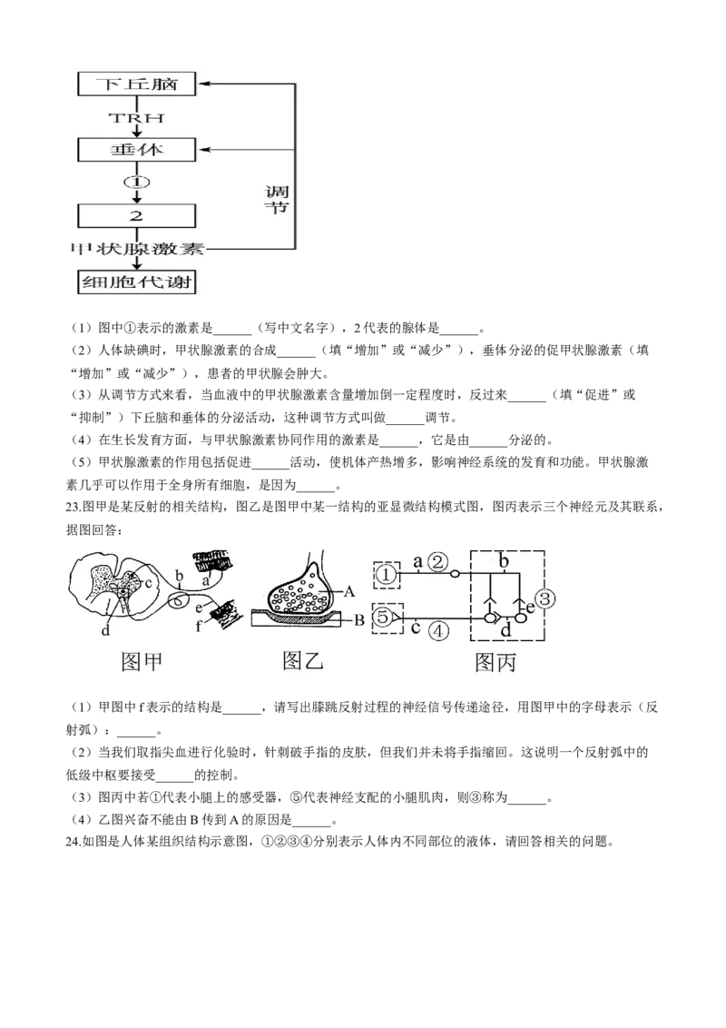 新疆疏附县2025-2026学年高二上学期期中考试生物试题_2025年11月高二试卷_251115新疆维吾尔自治区喀什地区疏附县2025-2026学年高二上学期11月期中（全）