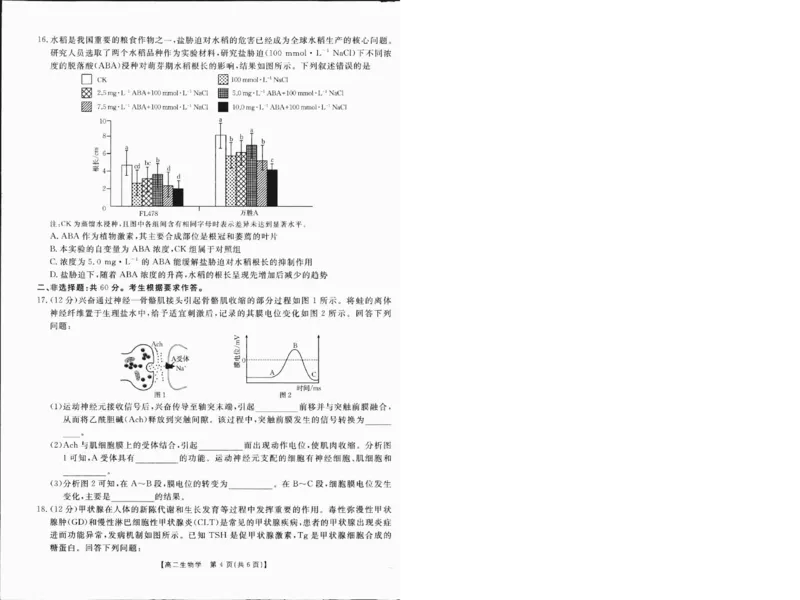 高二生物1_2024-2025高二（7-7月题库）_2025年01月试卷_0120金太阳广西2024-2025学年高二上学期12月阶段性考试_广西部分学校2024-2025学年高二上学期12月阶段性考试生物试题