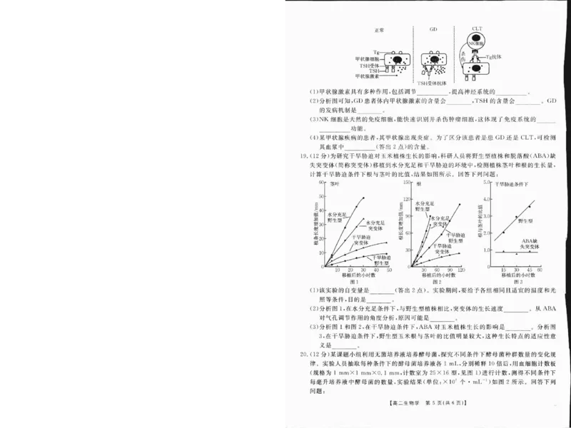 高二生物1_2024-2025高二（7-7月题库）_2025年01月试卷_0120金太阳广西2024-2025学年高二上学期12月阶段性考试_广西部分学校2024-2025学年高二上学期12月阶段性考试生物试题