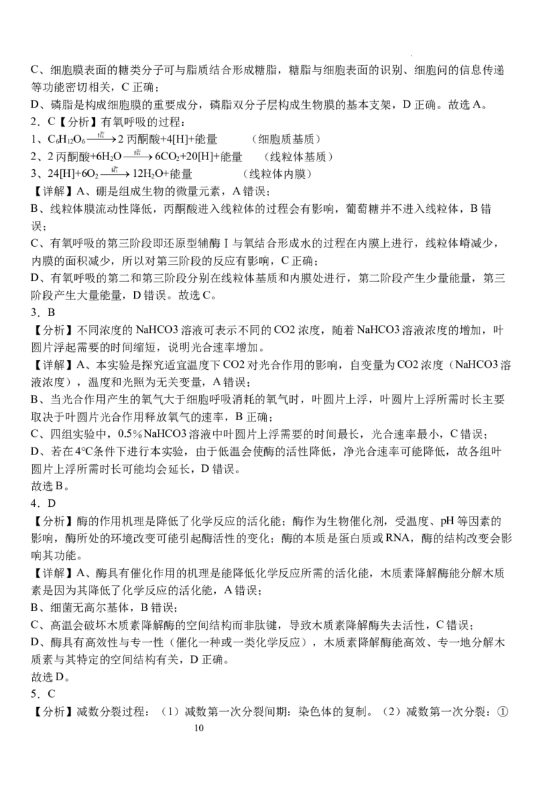 湖北省荆州市沙市中学2024-2025学年高三上学期12月月考生物+答案_2024-2025高三（6-6月题库）_2024年12月试卷_1230湖北省荆州市沙市中学2024-2025学年高三上学期12月月考（全科）