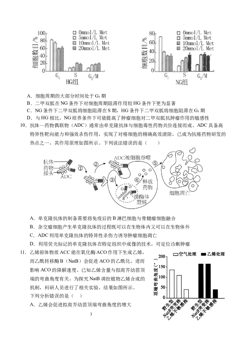 湖北省荆州市沙市中学2024-2025学年高三上学期12月月考生物+答案_2024-2025高三（6-6月题库）_2024年12月试卷_1230湖北省荆州市沙市中学2024-2025学年高三上学期12月月考（全科）