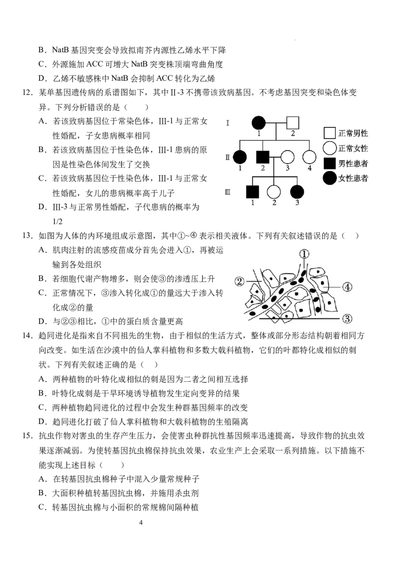 湖北省荆州市沙市中学2024-2025学年高三上学期12月月考生物+答案_2024-2025高三（6-6月题库）_2024年12月试卷_1230湖北省荆州市沙市中学2024-2025学年高三上学期12月月考（全科）