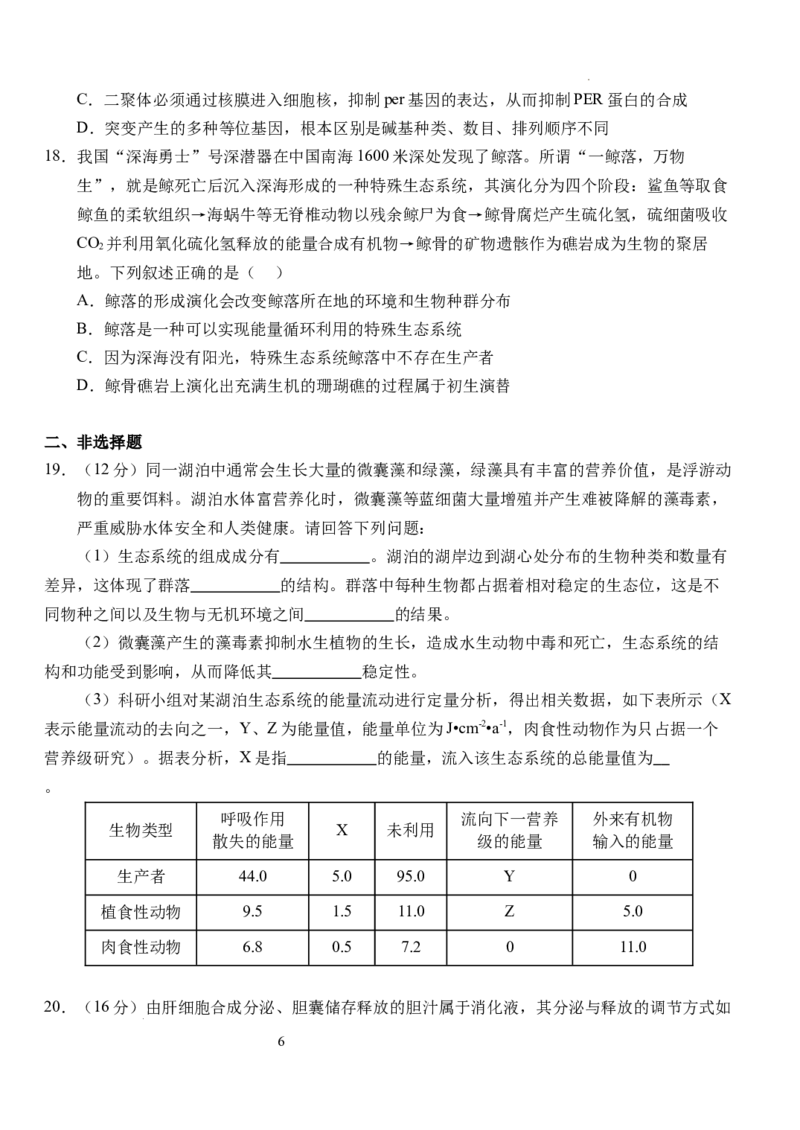 湖北省荆州市沙市中学2024-2025学年高三上学期12月月考生物+答案_2024-2025高三（6-6月题库）_2024年12月试卷_1230湖北省荆州市沙市中学2024-2025学年高三上学期12月月考（全科）
