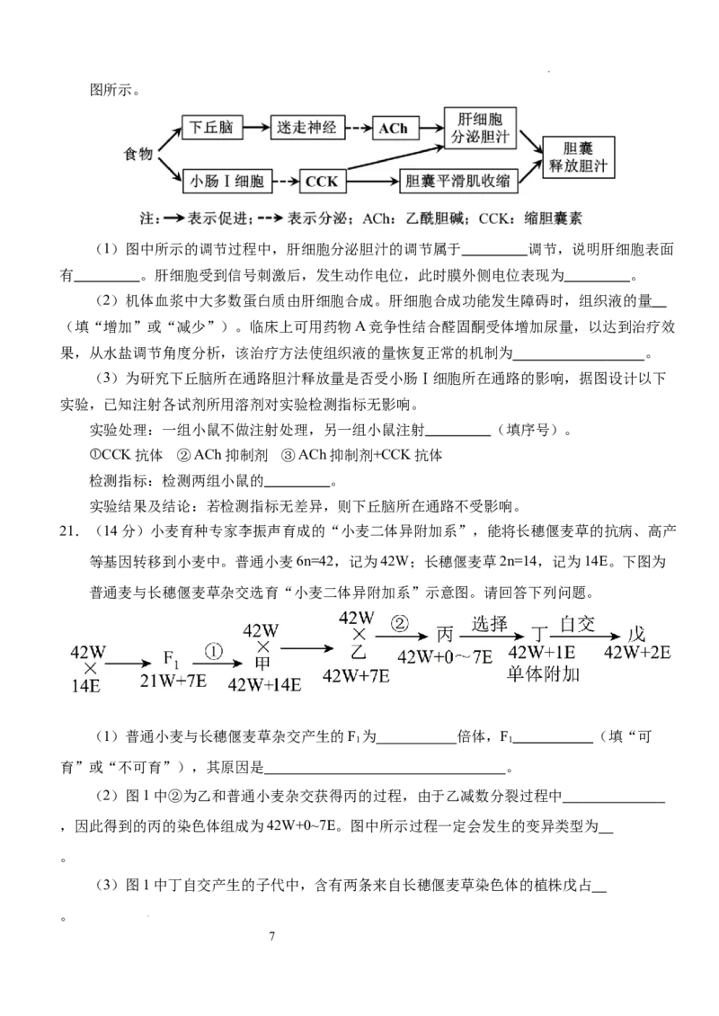湖北省荆州市沙市中学2024-2025学年高三上学期12月月考生物+答案_2024-2025高三（6-6月题库）_2024年12月试卷_1230湖北省荆州市沙市中学2024-2025学年高三上学期12月月考（全科）
