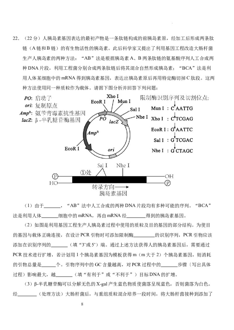 湖北省荆州市沙市中学2024-2025学年高三上学期12月月考生物+答案_2024-2025高三（6-6月题库）_2024年12月试卷_1230湖北省荆州市沙市中学2024-2025学年高三上学期12月月考（全科）