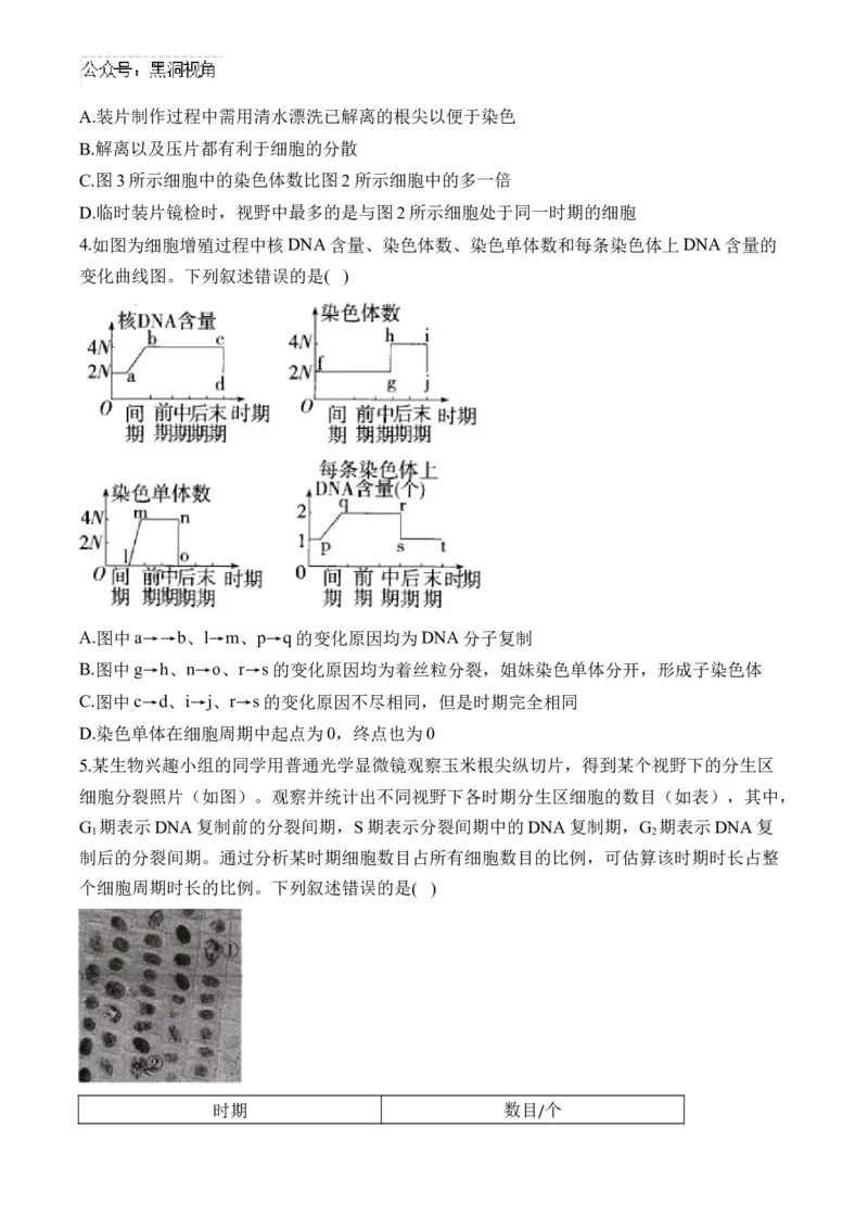 （7）细胞的生命历程&mdash;&mdash;2025届高考生物二轮复习易错重难提升（含解析）_2024-2025高三（6-6月题库）_2025年02月试卷_02162025届高考生物二轮复习易错重难提升（含解析）