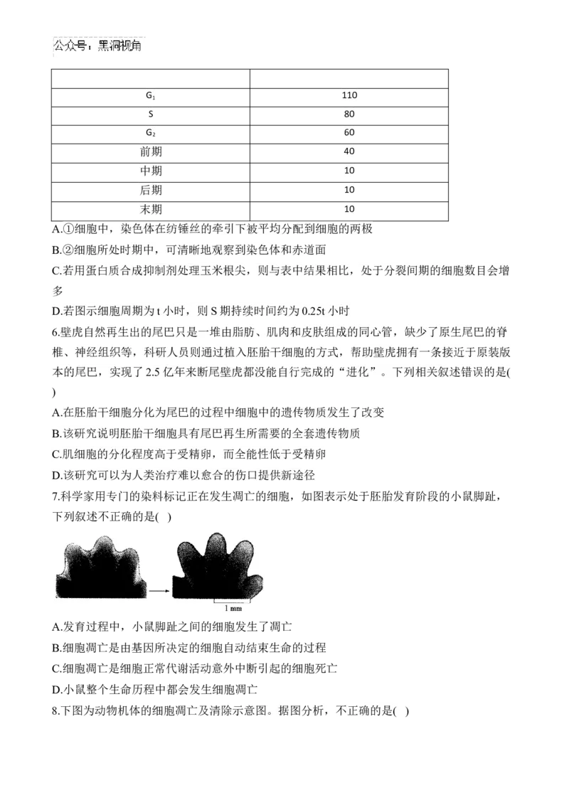 （7）细胞的生命历程&mdash;&mdash;2025届高考生物二轮复习易错重难提升（含解析）_2024-2025高三（6-6月题库）_2025年02月试卷_02162025届高考生物二轮复习易错重难提升（含解析）
