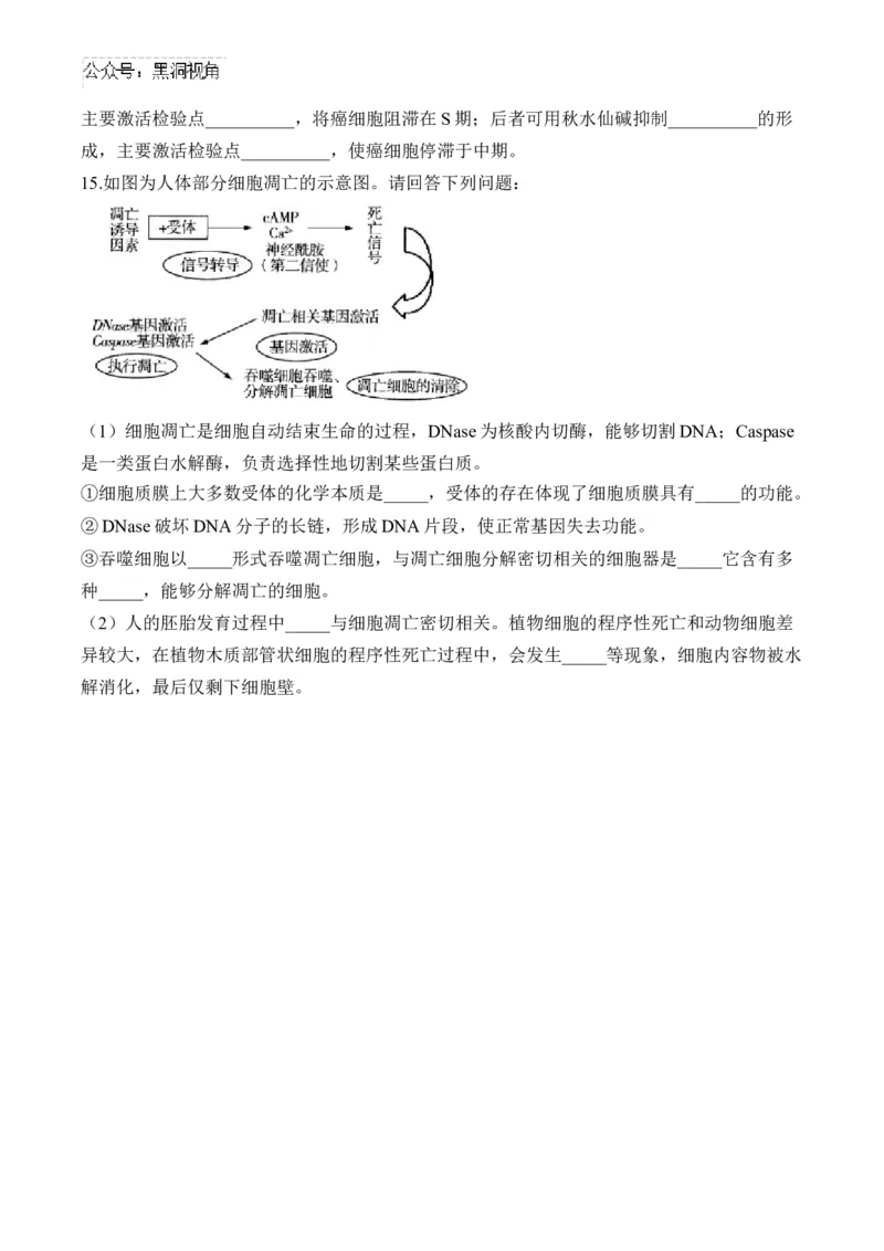 （7）细胞的生命历程&mdash;&mdash;2025届高考生物二轮复习易错重难提升（含解析）_2024-2025高三（6-6月题库）_2025年02月试卷_02162025届高考生物二轮复习易错重难提升（含解析）