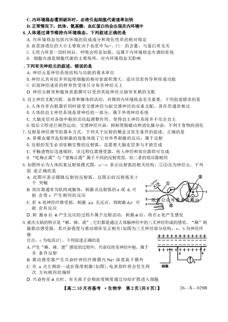生物试卷(26-X-029B)西北卷山西卷高二山西省三晋卓越联盟2025-2026学年高二10月夯基考(26-X-029B)(10.16-10.17)_2025年10月高二试卷_word版