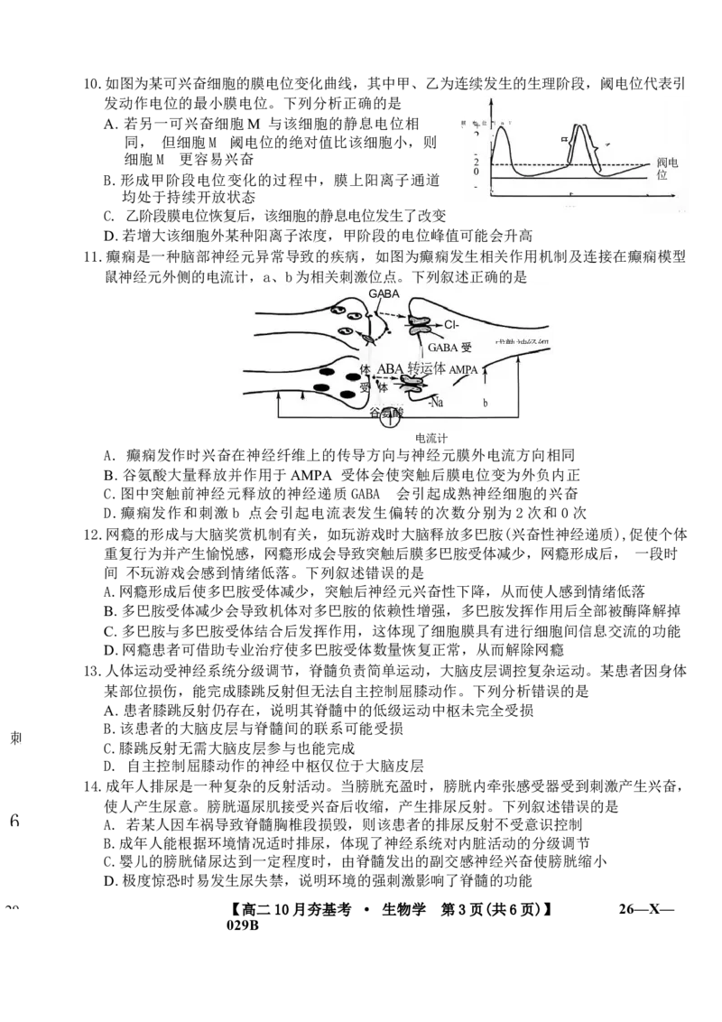 生物试卷(26-X-029B)西北卷山西卷高二山西省三晋卓越联盟2025-2026学年高二10月夯基考(26-X-029B)(10.16-10.17)_2025年10月高二试卷_word版