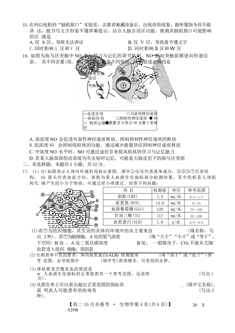 生物试卷(26-X-029B)西北卷山西卷高二山西省三晋卓越联盟2025-2026学年高二10月夯基考(26-X-029B)(10.16-10.17)_2025年10月高二试卷_word版
