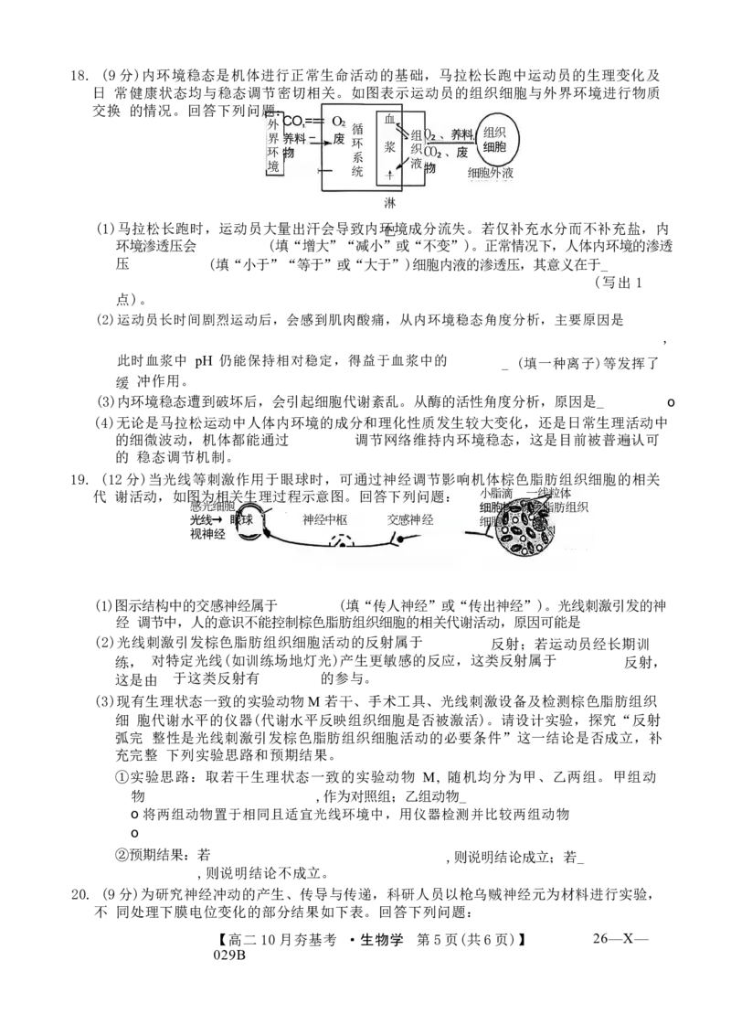 生物试卷(26-X-029B)西北卷山西卷高二山西省三晋卓越联盟2025-2026学年高二10月夯基考(26-X-029B)(10.16-10.17)_2025年10月高二试卷_word版