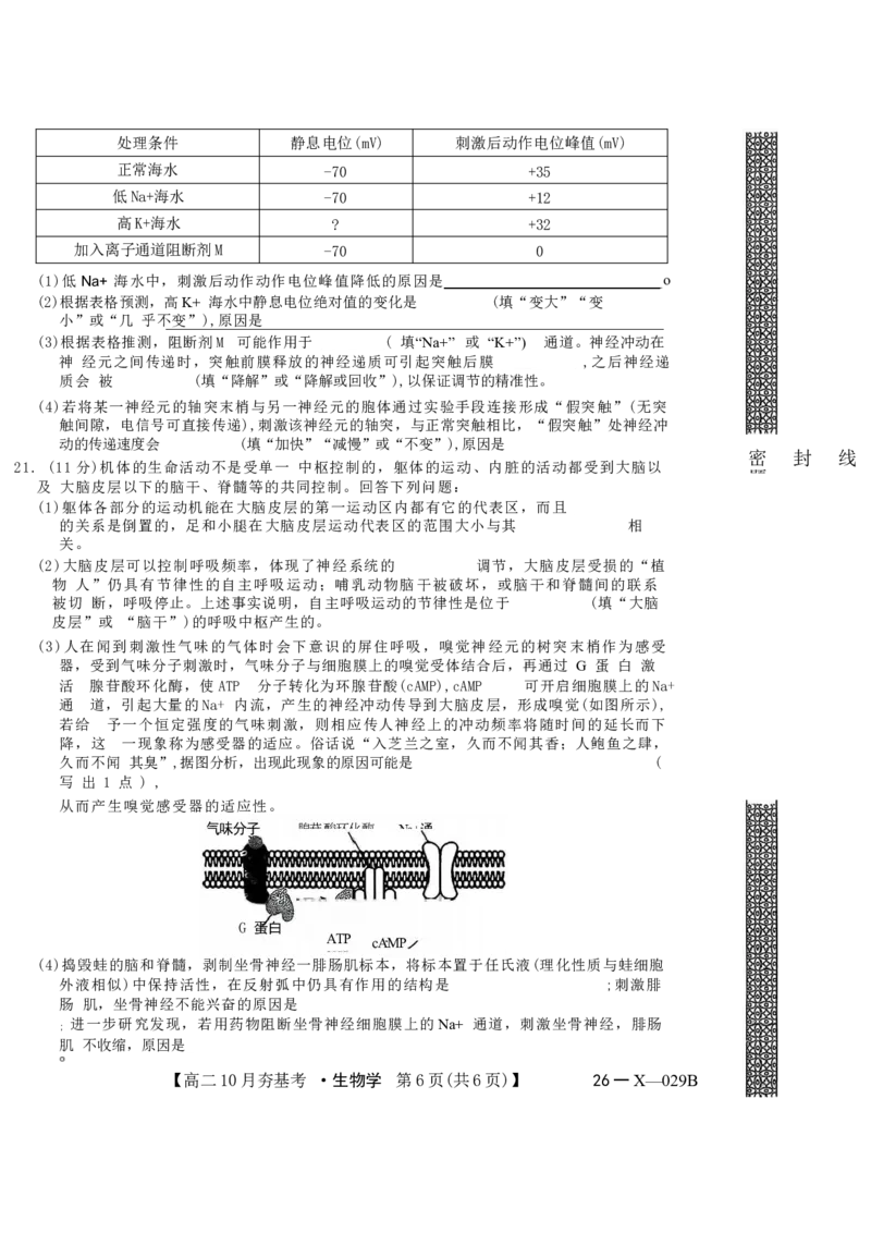 生物试卷(26-X-029B)西北卷山西卷高二山西省三晋卓越联盟2025-2026学年高二10月夯基考(26-X-029B)(10.16-10.17)_2025年10月高二试卷_word版