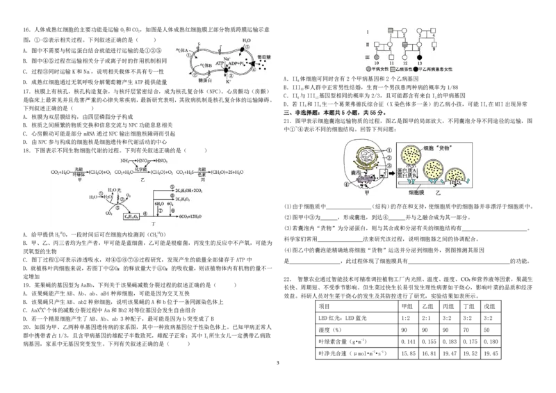黑龙江省哈尔滨师范大学附属中学2024-2025学年高三上学期10月月考生物试题_2024-2025高三（6-6月题库）_2024年10月试卷_1014黑龙江省哈尔滨师范大学附属中学2024-2025学年高三上学期10月月考