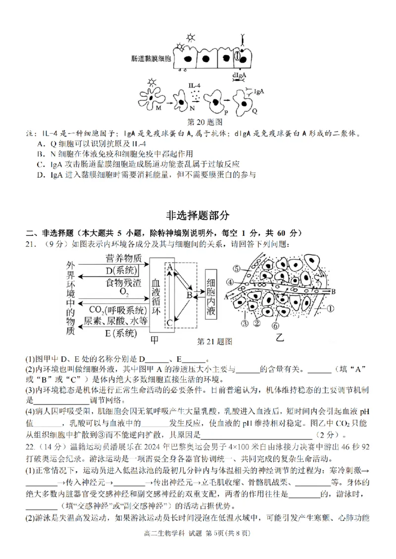 生物卷-2411台州十校高二期中_2024-2025高二（7-7月题库）_2024年11月试卷_1108浙江省台州十校联盟2024学年高二第二学期期中联考