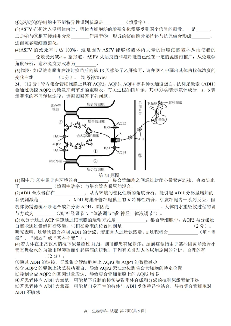 生物卷-2411台州十校高二期中_2024-2025高二（7-7月题库）_2024年11月试卷_1108浙江省台州十校联盟2024学年高二第二学期期中联考