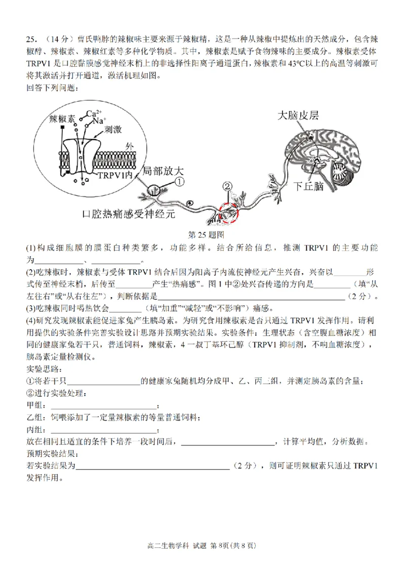 生物卷-2411台州十校高二期中_2024-2025高二（7-7月题库）_2024年11月试卷_1108浙江省台州十校联盟2024学年高二第二学期期中联考
